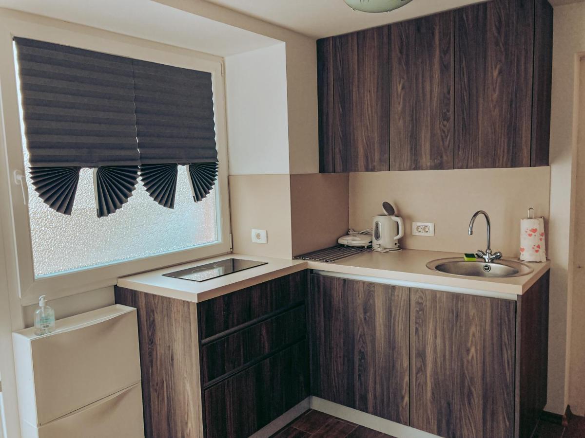 Apartments Ivanovic イドリヤ エクステリア 写真